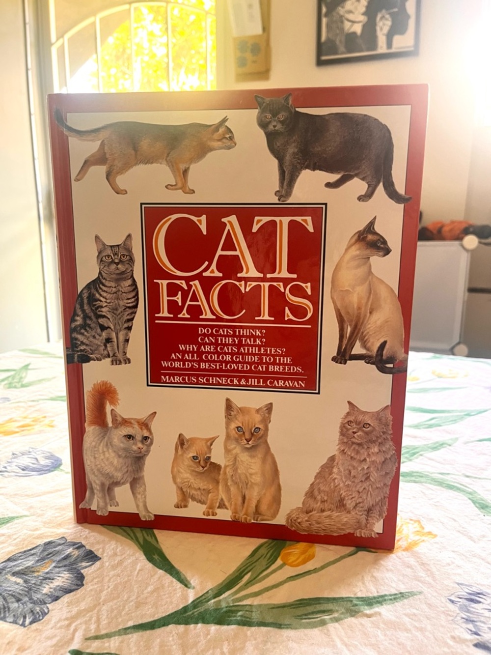 90’s Cat Facts Hardcover Book